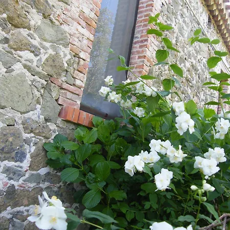 Il Giglio Oristano