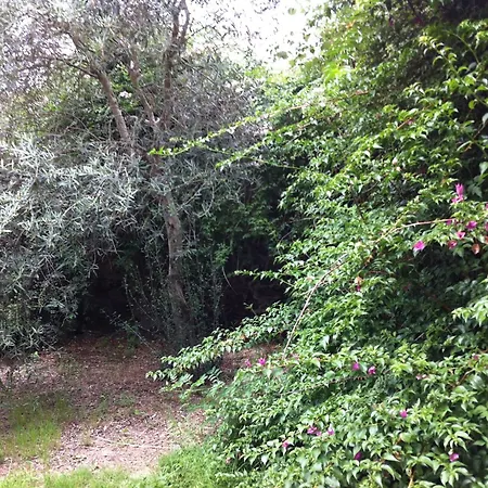Alloggio per agriturismo Il Giglio *
