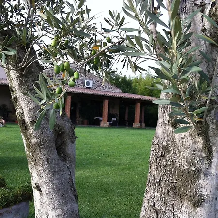 Il Giglio Oristano