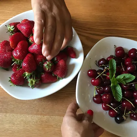 ファームステイ Il Giglio *