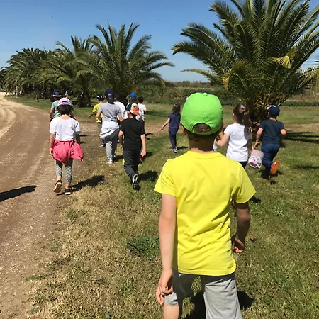 Il Giglio * Oristano