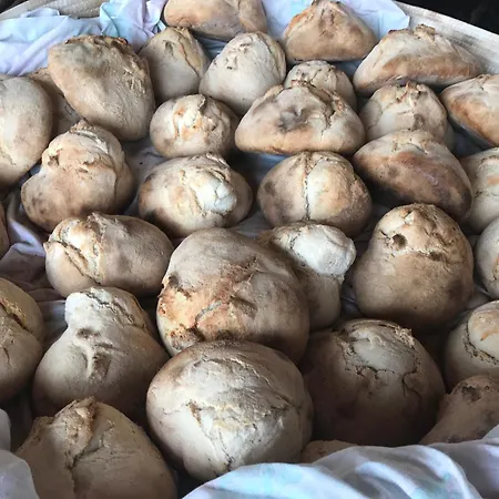 Il Giglio Alloggio per agriturismo Oristano
