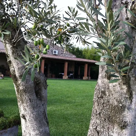 Il Giglio אוריסטאנו