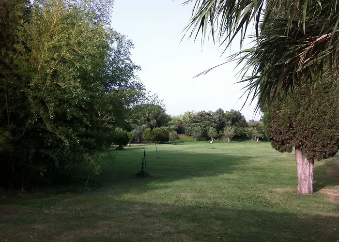 Il Giglio * Oristano