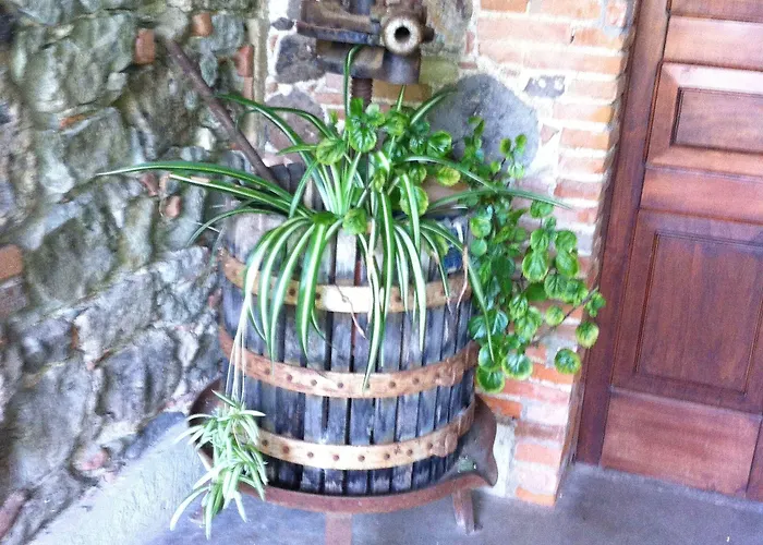 Il Giglio * Oristano