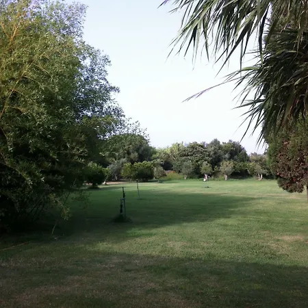 Il Giglio * Oristano