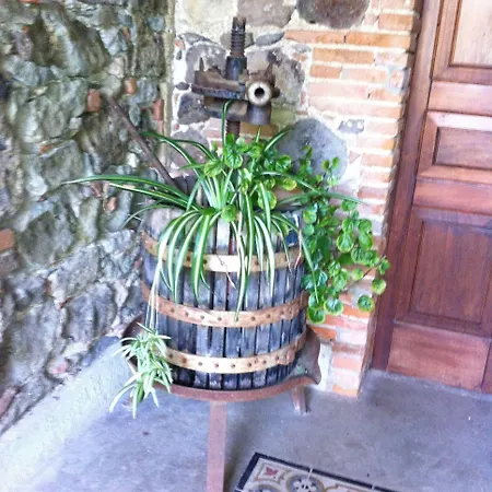 Il Giglio * Oristano